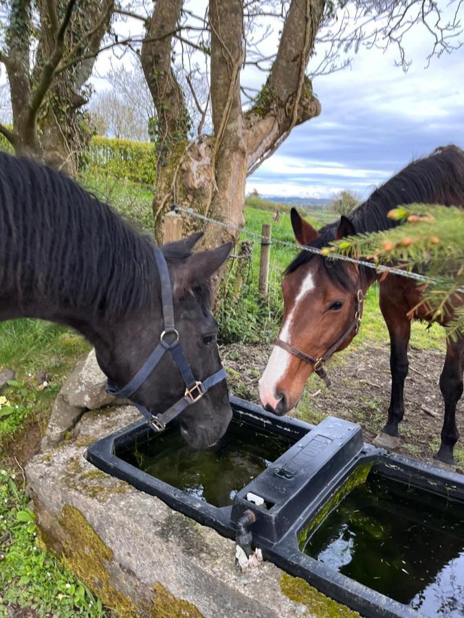 Lacken Farmyard Kilmihil Extérieur photo
