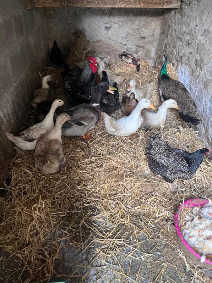 Lacken Farmyard Kilmihil Extérieur photo